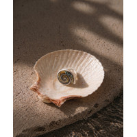 Bali Handmade Shell Rings
